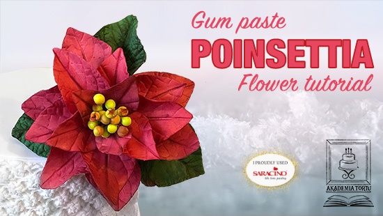 POINSETTIA TUTORIAL