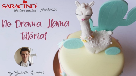 NO DRAMA LlAMA