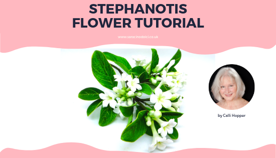 STEPHANOTIS FLOWER TUTORIAL
