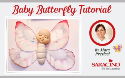 Baby Butterfly