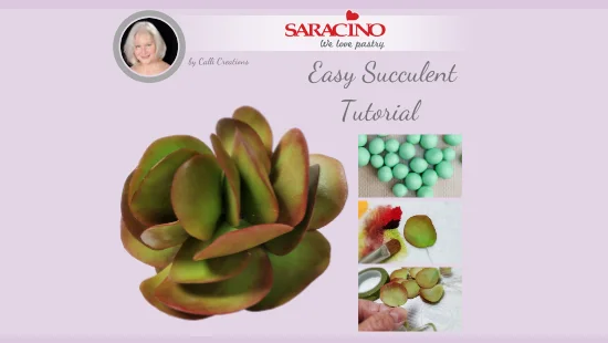 SUGAR SUCCULENT TUTORIAL