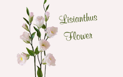LISIANTHUS FLOWER TUTORIAL