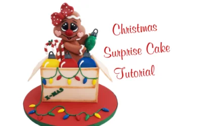 CHRISTMAS SURPRISE  BOX