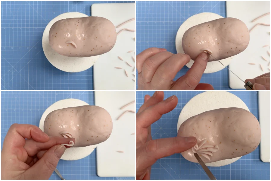 step 23