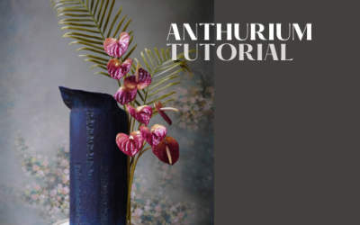 ANTHURIUM TUTORIAL