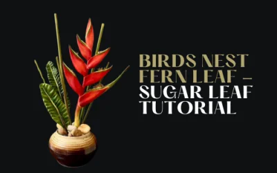 HOW TO: MAKE BIRD NEST FERN SUGAR LEAF