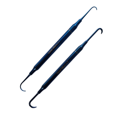 Cerart Milano Double-Ended Hook Tools – No. 1 & No. 3
